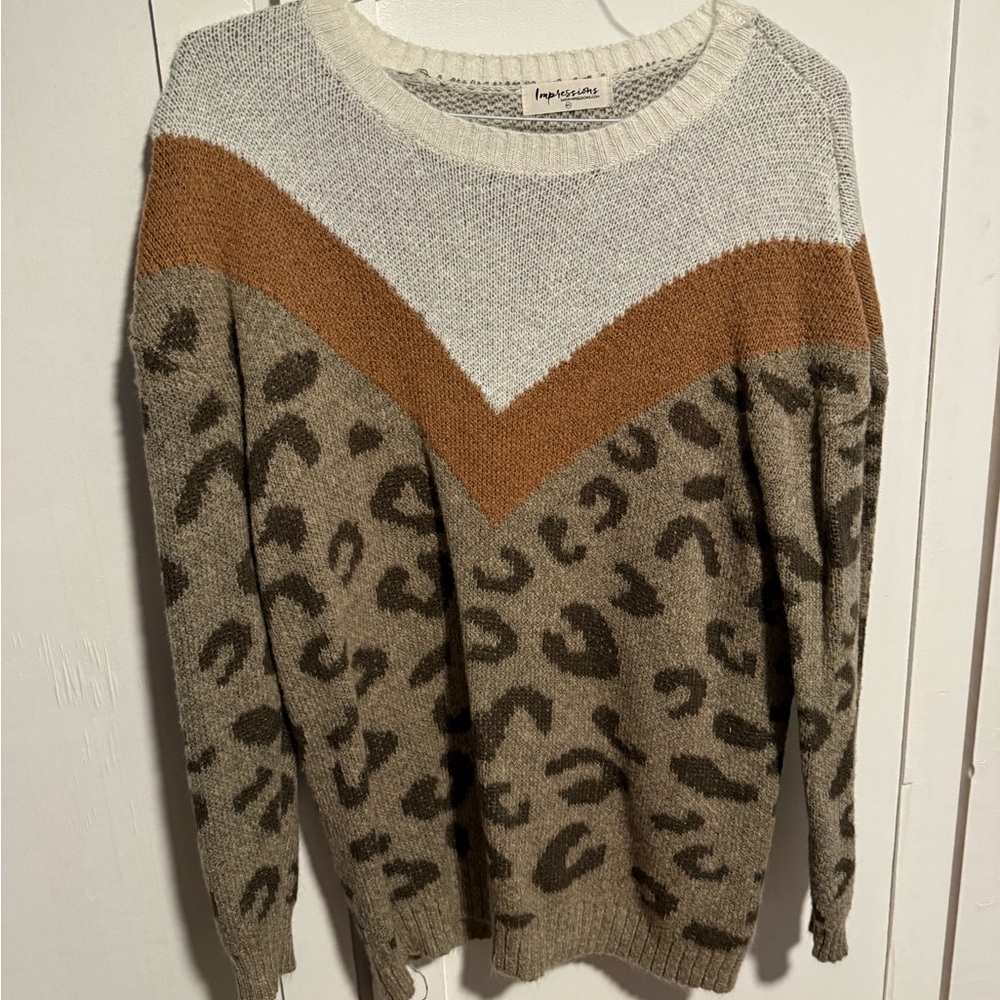 Boutique Leopard Print Sweater with Chevron Design